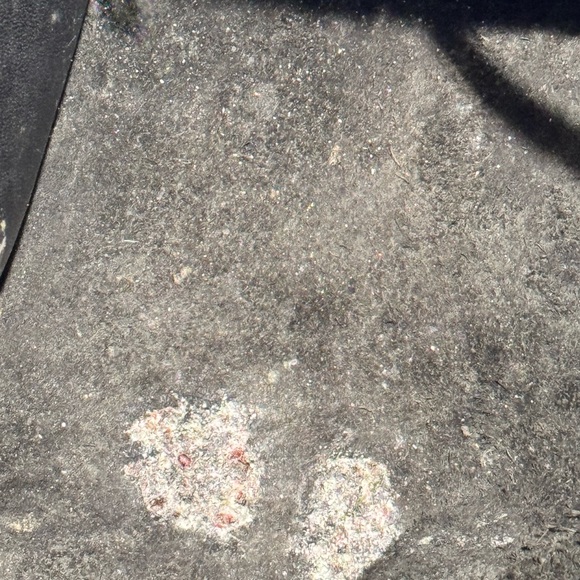 Vintage COACH Daypack Black Leather Drawstring Mini Backpack Bag 9960 USA Y2K - Picture 3 of 16